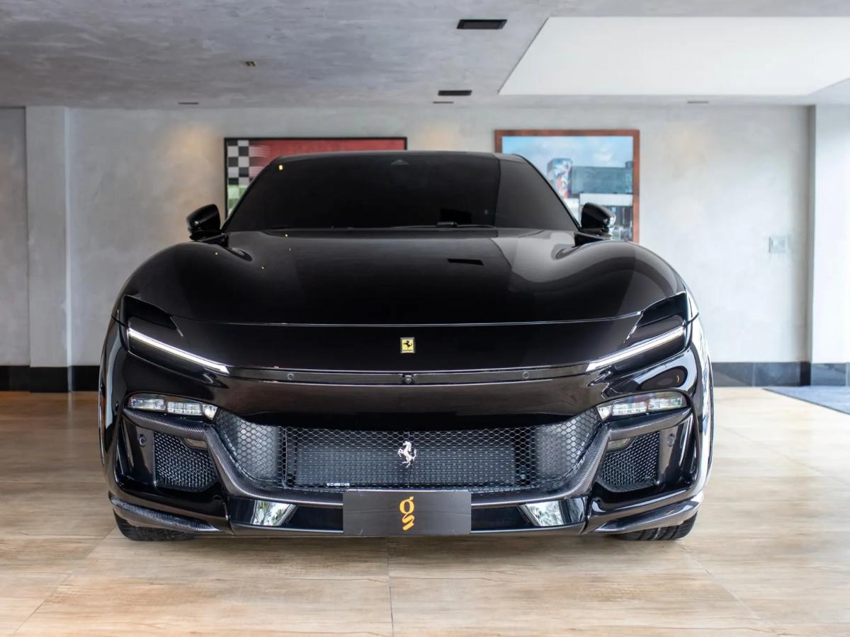 Puro Sangue